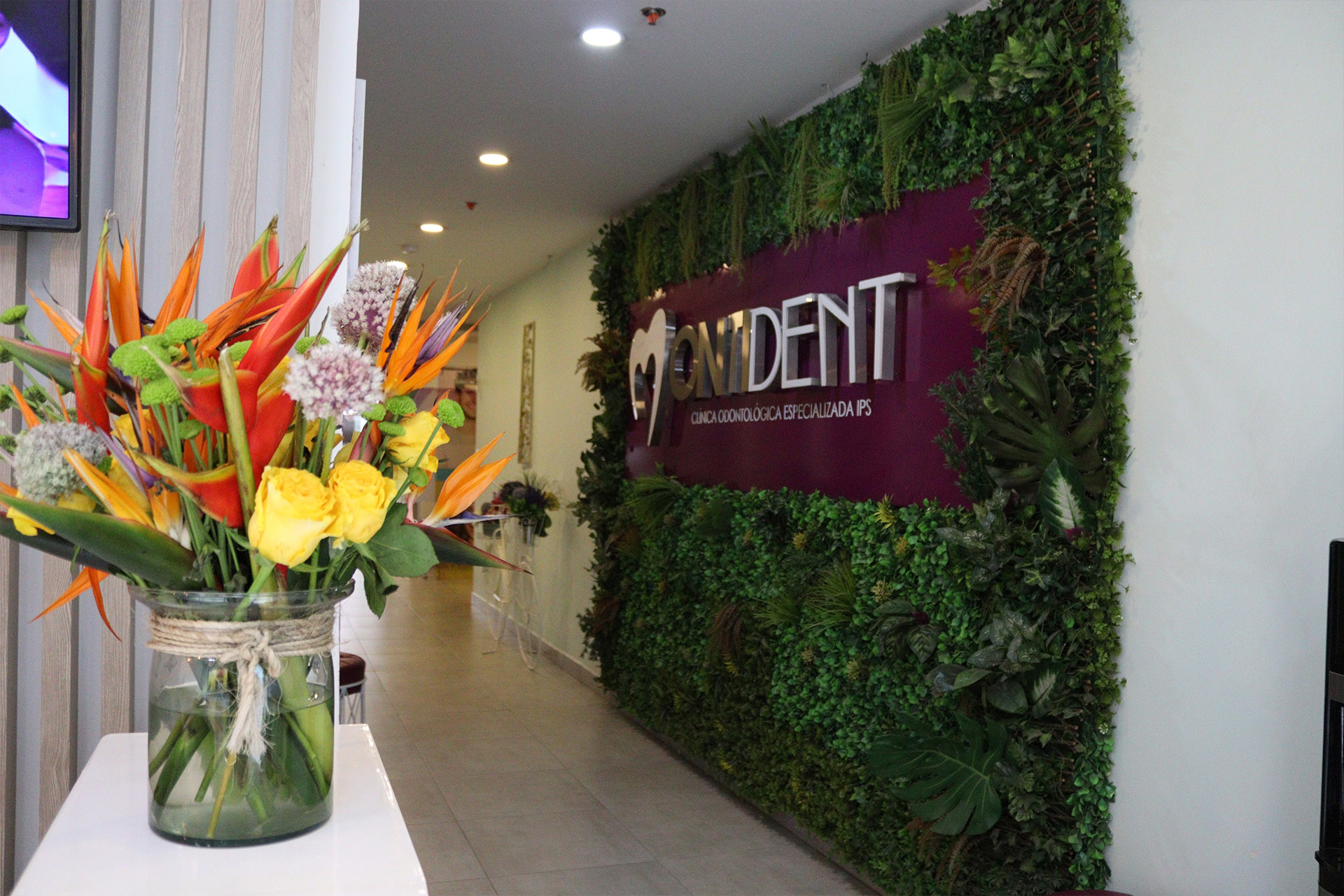 Montident